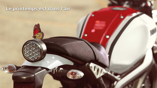 Le printemps est dans l’air